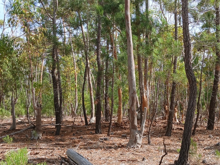 0 Bedroom Property for Sale in Napier Western Cape